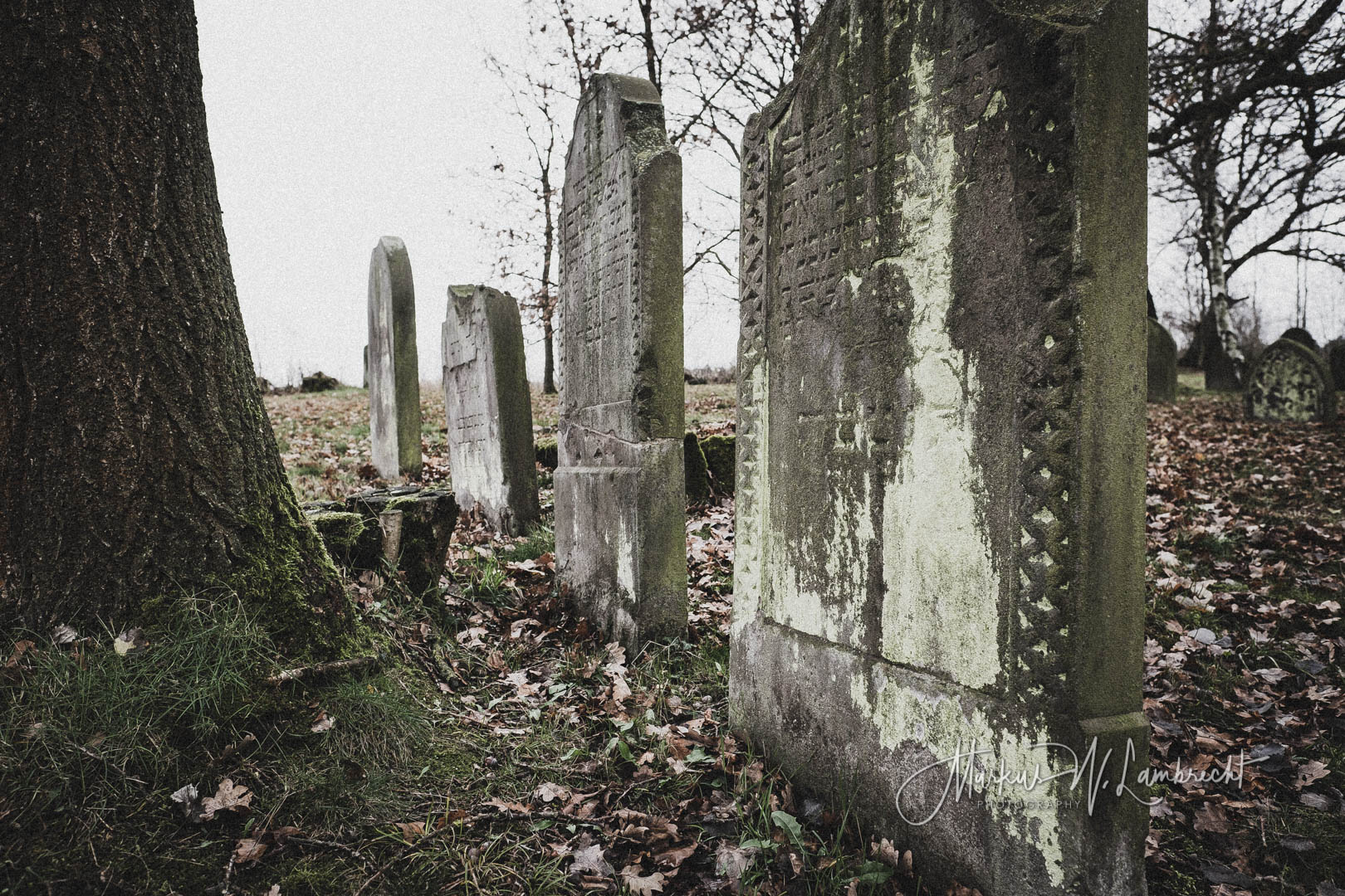 Mackensen (Dassel), Jüdischer Friedhof